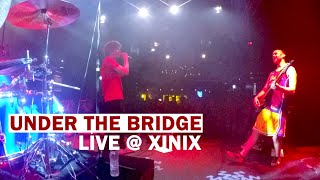 Peppers Unlimited RHCP Tribute Under The Bridge Live Xinix [upl. by Aicirtak]