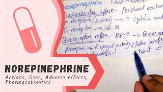 NOREPINEPHRINE  Actions Uses Pharmacokinetics adverse effects PHARMACOLOGY [upl. by Alenas]