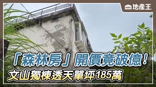 獨家》「森林房」開價竟破億！ 文山獨棟透天單坪185萬 ebcrealestate [upl. by Justis521]