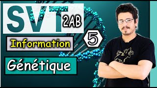 Le caryotype Relation entre chromosomes et ADN  Part 5 [upl. by Yroffej2]