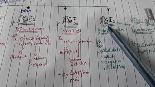 Variant of Prostaglandin with uses [upl. by Daveen]