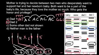 DNA Paternity Testing theory explaned [upl. by Alecram]