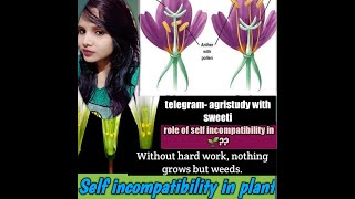 Self incompatibility use in hybrid seed production [upl. by Yadnil144]