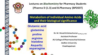 4 7 amino acid metabolism Asn Asp Gln Glu Pro [upl. by Catlaina]