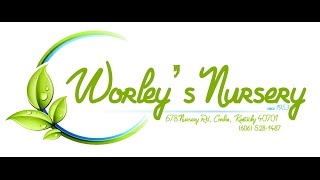 Worleys Nursery [upl. by Labana]