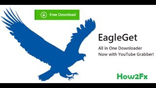 How to install Eagle Get Eagle Download Manager How to Fix [upl. by Eiramllij]