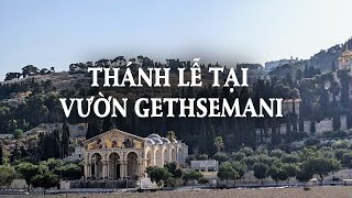 Thánh Lễ Tại Vườn Gethsemani [upl. by Amabel348]