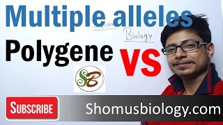 Difference between multiple alleles and polygenic inheritance [upl. by Austine]