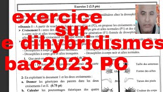 exercice sur le dihybridismebac2023 PC [upl. by Brewster]