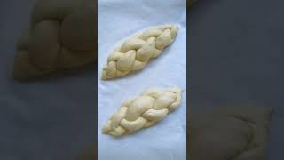 Bread Rising Time Lapse  Watch Bread Breathing Baking Therapy w Challah Bread Braiding [upl. by Nertie166]