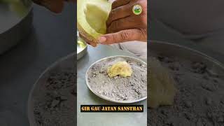 હાલો ટેટી ખાવા muskmelon teti [upl. by Jeffrey]