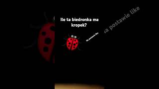 🐞Biedronka nie ma ogonka🐞 [upl. by Lally]