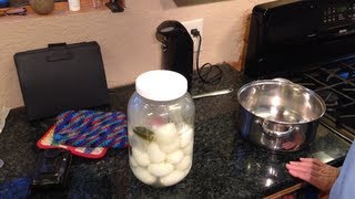 Homestead Cooking Pattis Quickly Pickled Eggs [upl. by Ydnys]