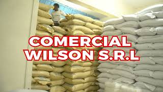 COMERCIAL WILSON SANCHEZ SRL [upl. by Maggi]