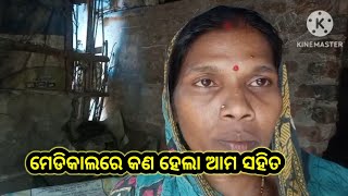 ମେଡ଼ିକାଲରେ କଣ ହେଲା ଆମ ସହିତ MilifamilyVlog Odiavlog [upl. by Epperson]