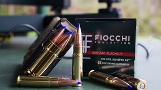 Fiocchi 125gr SST  300 Blackout Ammo Test [upl. by Yessak]