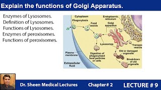 Explain the functions of Golgi Apparatus CH 2 LEC 9 [upl. by Atiseret]