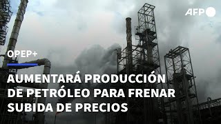 La OPEP aumentará la producción de petróleo para frenar la subida de precios  AFP [upl. by Alathia552]