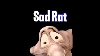 Sad Rat [upl. by Angelita]