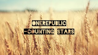 OneRepublic Counting Stars lyrics [upl. by Miles437]