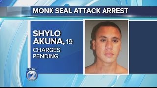 Man arrested in connection to monk seal attack on Kauai [upl. by Nwahsid746]