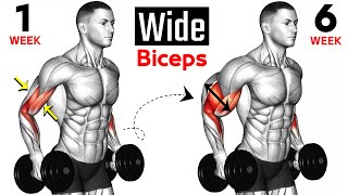 14 BEST Exercises for WIDER BICEPS [upl. by Hansen]