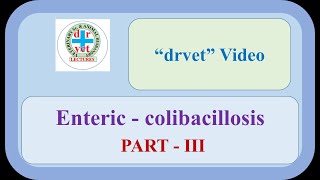 Enteric colibacillosis Part 3 [upl. by Sager]