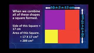 Subject Enrichment Activity of Maths class 8th verification of algebraic identities [upl. by Martreb]