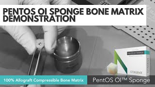 100 Allograft Bone Matrix Compressible PentOS OI Sponge  Citagenix [upl. by Rabin]