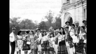 Moldavian Folk Music Orchestra populara din Chisinau Sârba 1950s [upl. by Relyat]