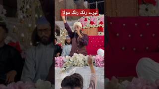 Tery rang rang Mola  Hafiz Natiq Qadri youtubeshorts hafitahirqadri viralvideo hamd viralvideo [upl. by Eillo]