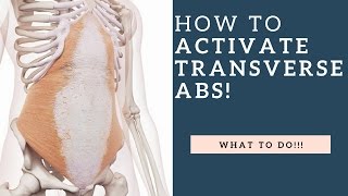 How To Activate The Transversus Abdominis TA Muscle amp Strengthen It [upl. by Aztirak786]