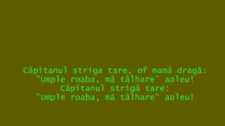 Sa votat Codu Penal  Valeriu Sterian [upl. by Alon]