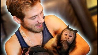 Most Famous Pet Monkey in the World [upl. by Christyna]