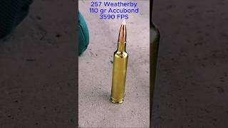 257 Weatherby at 1000 yards [upl. by Osmo416]