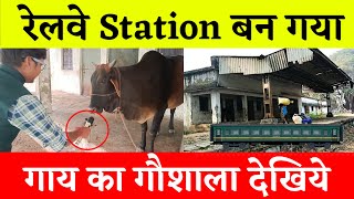 Railway Station बन गया गौशाला देखिये योगी जी [upl. by Pang]