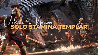 Solo Stamina Templar Build Guide PvE  Update 40 [upl. by Philbo673]