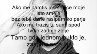 Milan Stankovic  Perje 2011 tekst [upl. by Alvord]