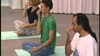 Integral Yoga Pranayama Breathing Practices Intermediate with Swami Asokananda [upl. by Verdie636]