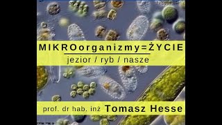 MIKROorganizmy  ŻYCIE Jezior ryb nasze Ratuj Ryby Tomasz Hesse [upl. by Marfe]