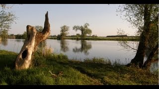 Mit dem Bungalowboot auf der Havel unterwegs [upl. by Refinej]