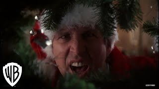 National Lampoons Christmas Vacation  Squirrel Scene  Warner Bros Entertainment [upl. by Nilyaj]