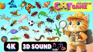 CAT Games Adventures  Ultimate Cat TV Compilation Vol 18  SPECIAL EPISODE 3 HOUR🐝🐞🦋🦎🦜🐜🐭🧵 NO ADS [upl. by Marko136]