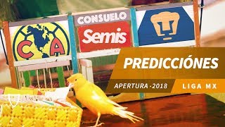 Pronóstico Semifinal Liga MX Apertura 2018  Predicciones Liga MX  Quiniela Futbol 2018 [upl. by Aicekat585]