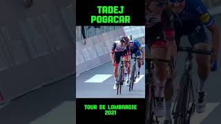 Tadej Pogaçar  Tour de Lombardie 2021 [upl. by Hplodnar]