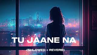 trending TU JAANE NA SHLOWED  REVERB ARIJIT SINGH NEW TRENDING SONG LOFISONGS9509 [upl. by Eisteb]