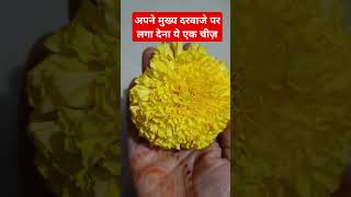 अपने मुख्य दरवाजे पर लगा देना ये एक चीज़ शिवsubscribe astrology vastutipsforhome vastushastra [upl. by Nader563]