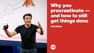 Why you procrastinate  and how to still get things done  Tim Urban [upl. by Notpmah975]