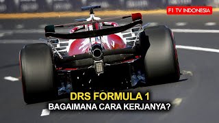 F1 DRS Bagaimana Cara Kerjanya [upl. by Eceinert]