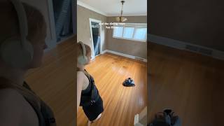 Refinishing these old hardwood floors diyhomerenovation flooring beforeandafter [upl. by Zetnod843]